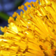 Illustration for article titled 264 Stupendous Spring Wallpapers